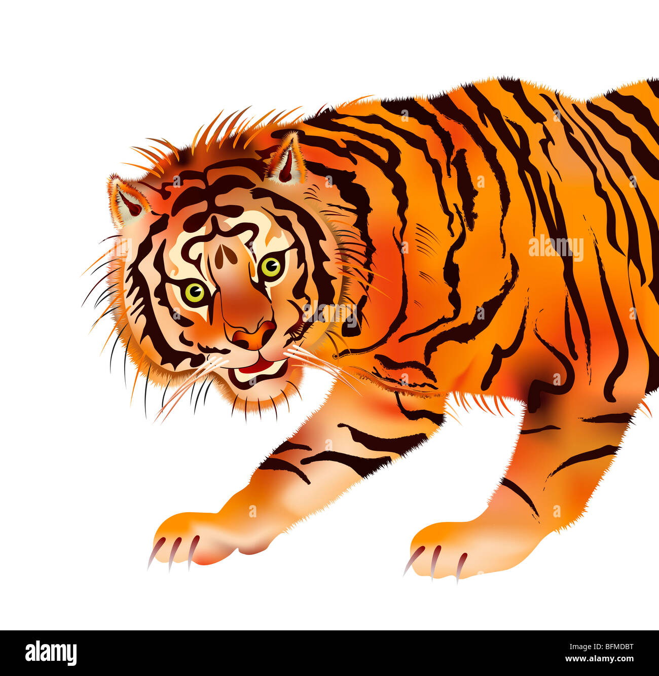 Illustration of the tiger - beast of prey Stock Photo