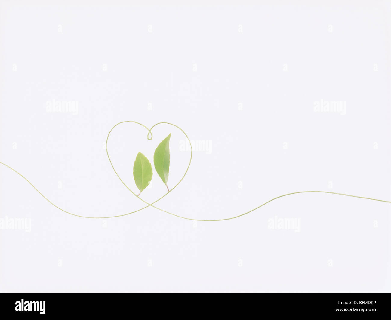 Leaves and line forming heart, white background Stock Photo - Alamy