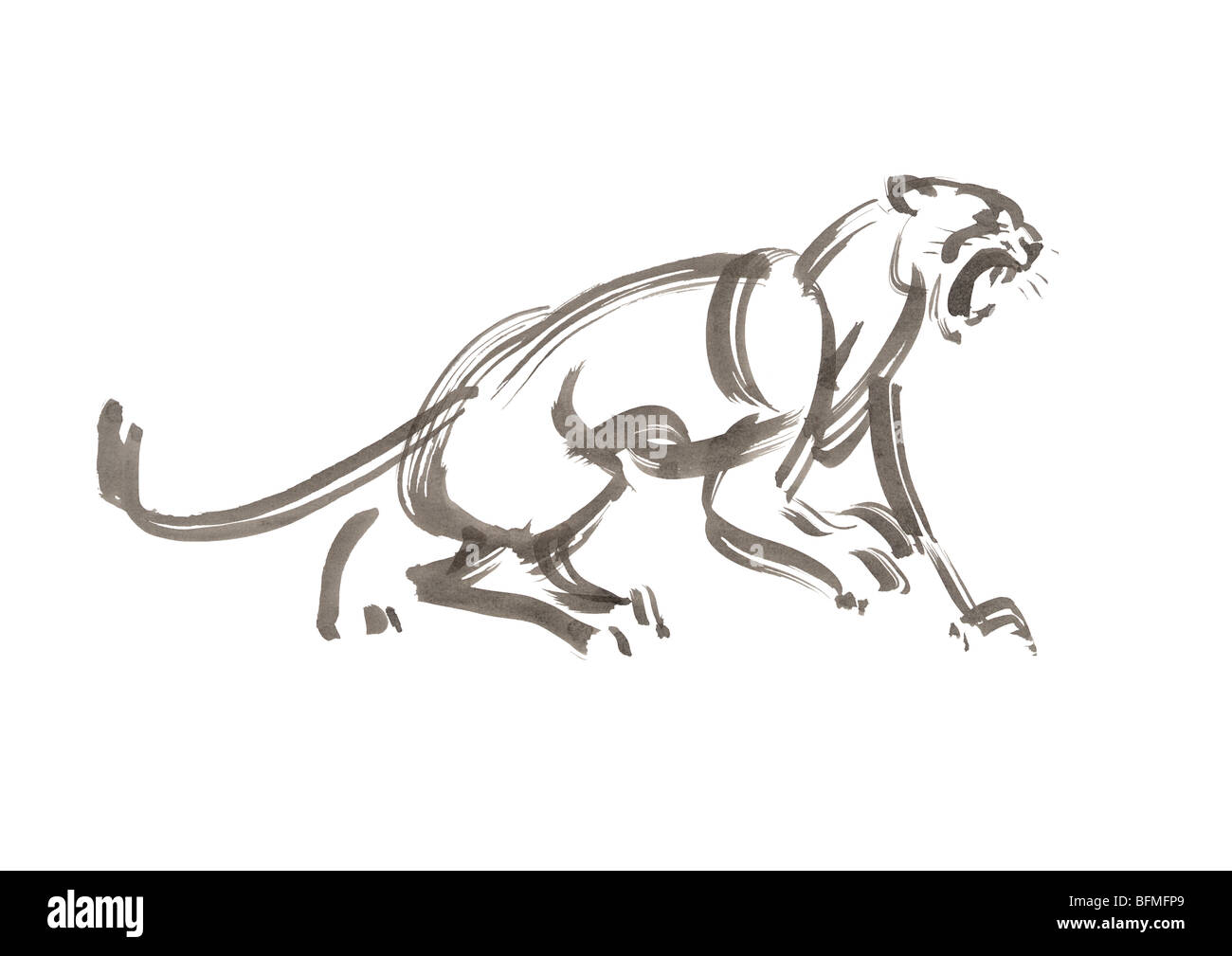 Howling Lion Gray Ink Illustration Stock Photo
