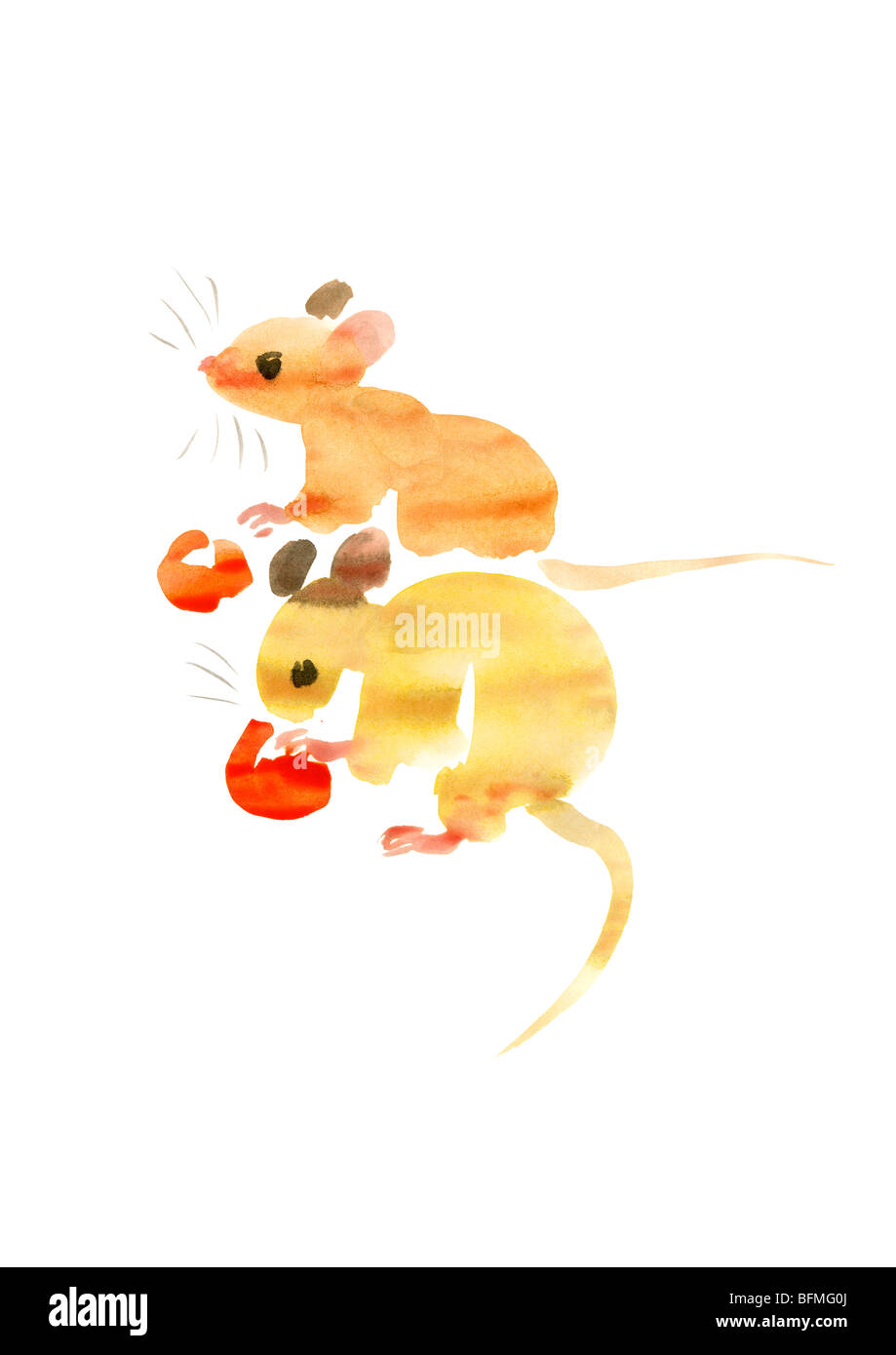 Illustration of two mice eating cherries, white background Stock Photo