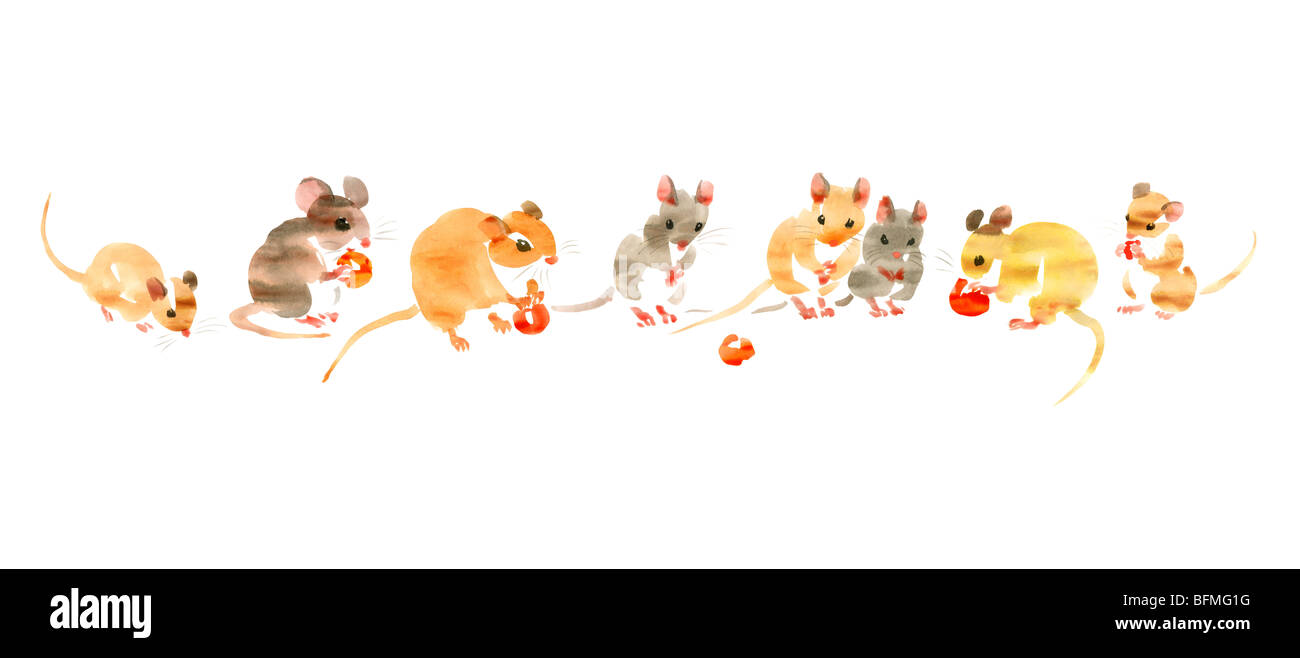 Illustration of mice eating cherries, white background Stock Photo Alamy