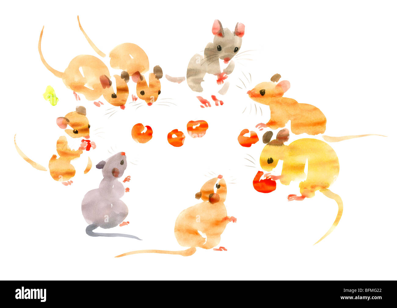 Illustration of mice eating and looking at cherries, white background