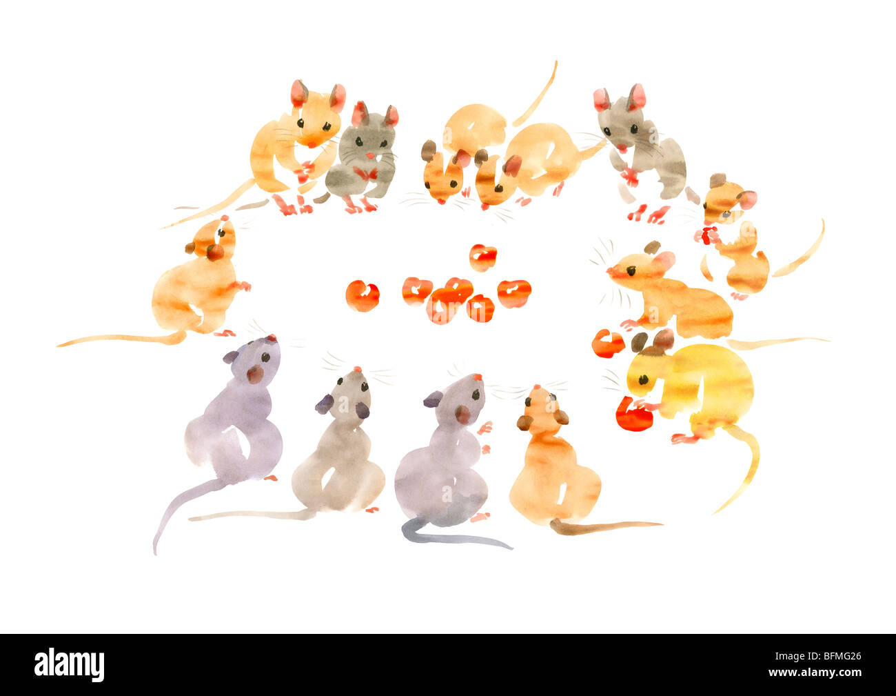 Illustration of mice eating and looking at cherries, white background