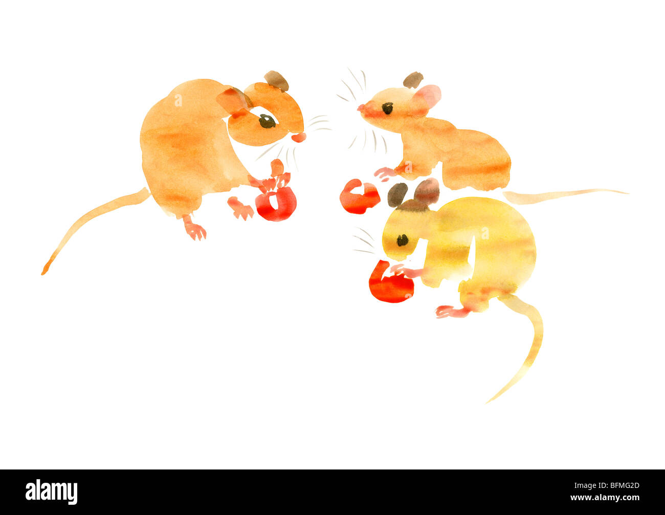 Illustration of three mice eating cherries, white background Stock