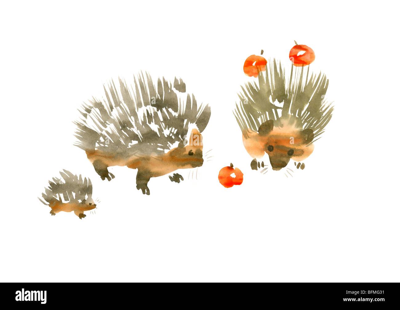 Illustration of three hedgehogs looking at cherry, white background Stock Photo