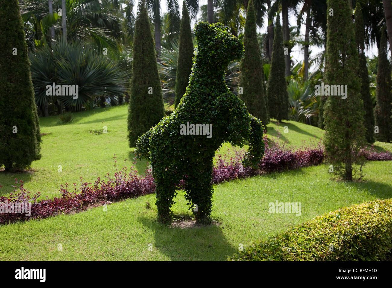 Animal Topiary at the French Garden at Suan Nong Nooch or NongNooch Tropical Botanical Garden Resort, Chon Buri,  Pattaya, Thailand, Asia Stock Photo