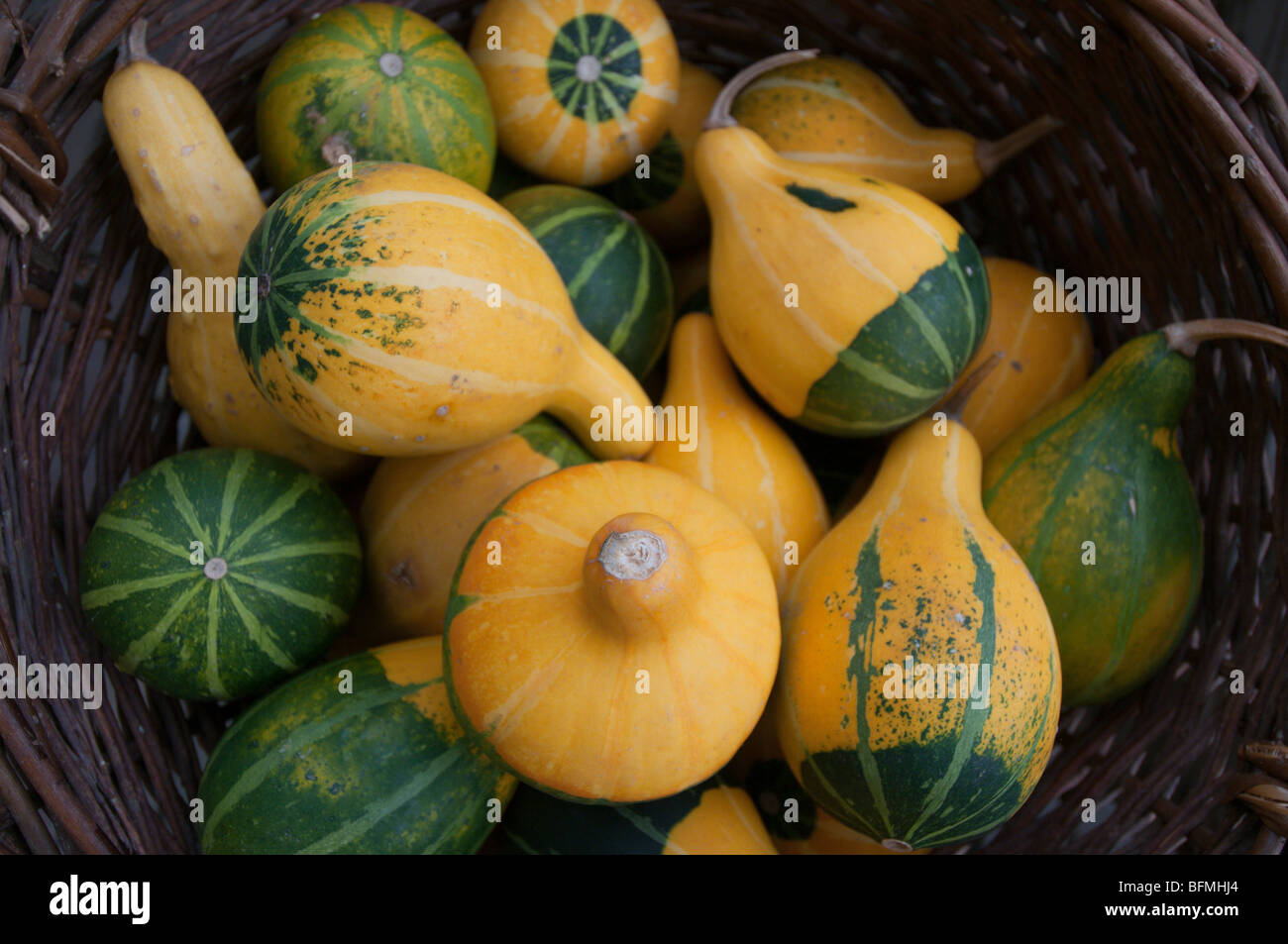 Pumpkins in wooden crate, overhead view Stock Photo