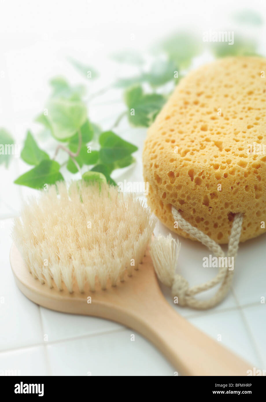 Bath sponge hires stock photography and images Alamy