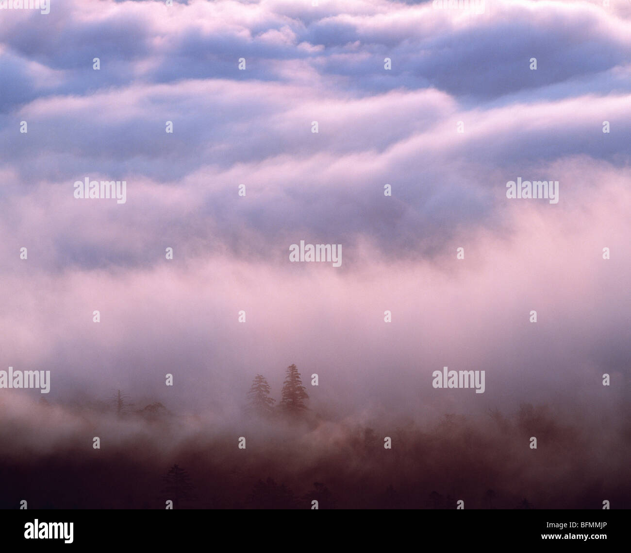 Fog over scenery hi-res stock photography and images - Alamy