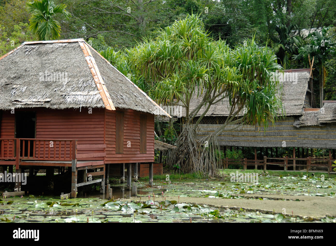 Brunei House & Pandanus pulcher Palm, from SW Sabah, Sabah State Museum