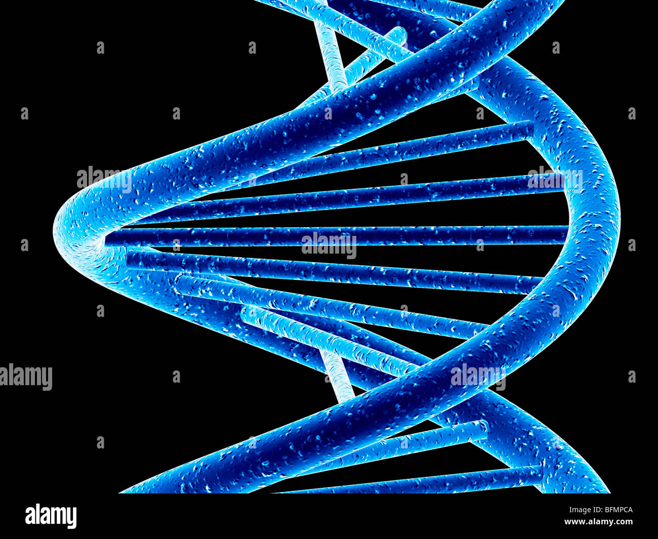 DNA molecule, artwork Stock Photo