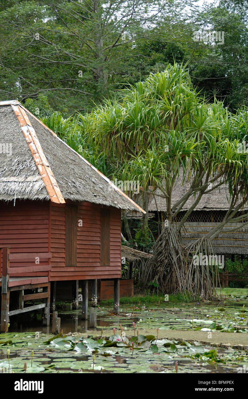 Brunei House & Pandanus pulcher Palm, from SW Sabah, Sabah State Musem