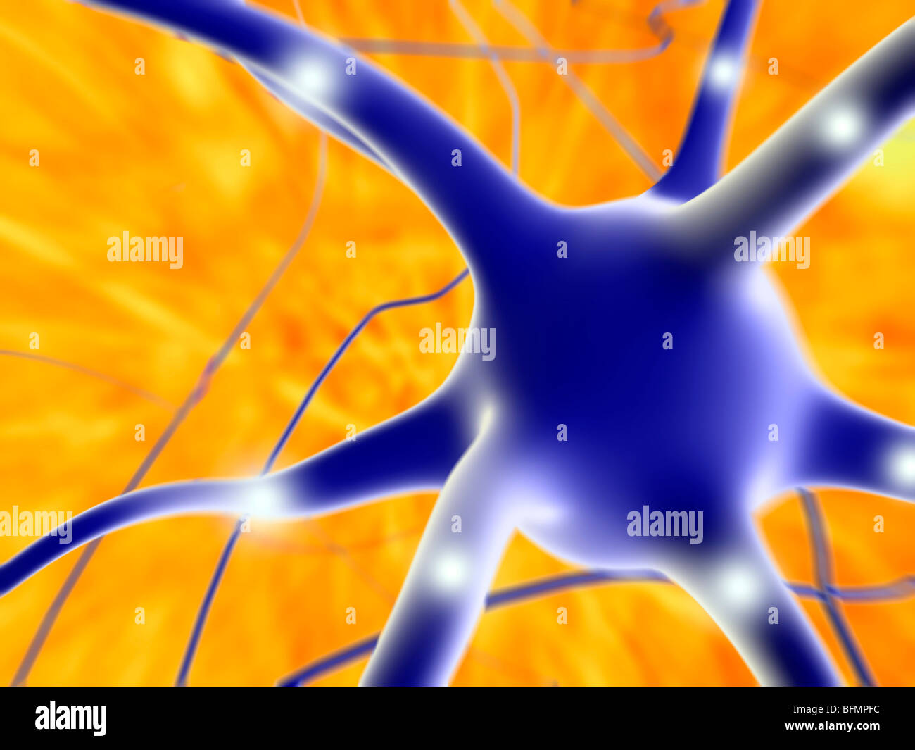 Nerve cell, artwork Stock Photo