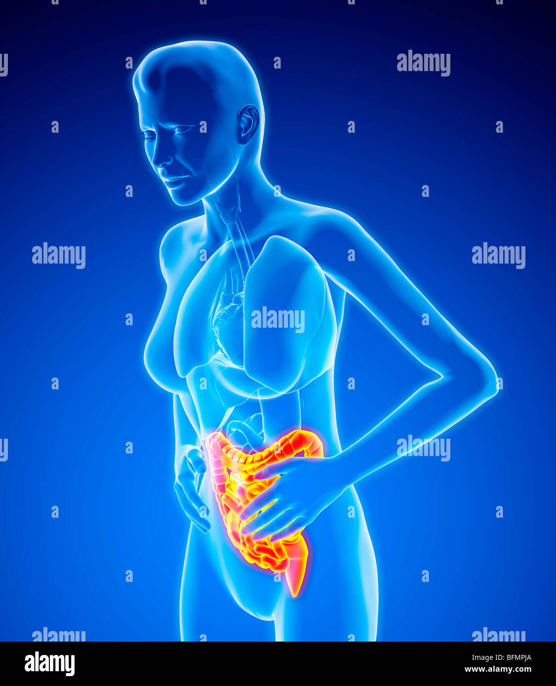 EMPTY BOWEL PAIN visual data 4
