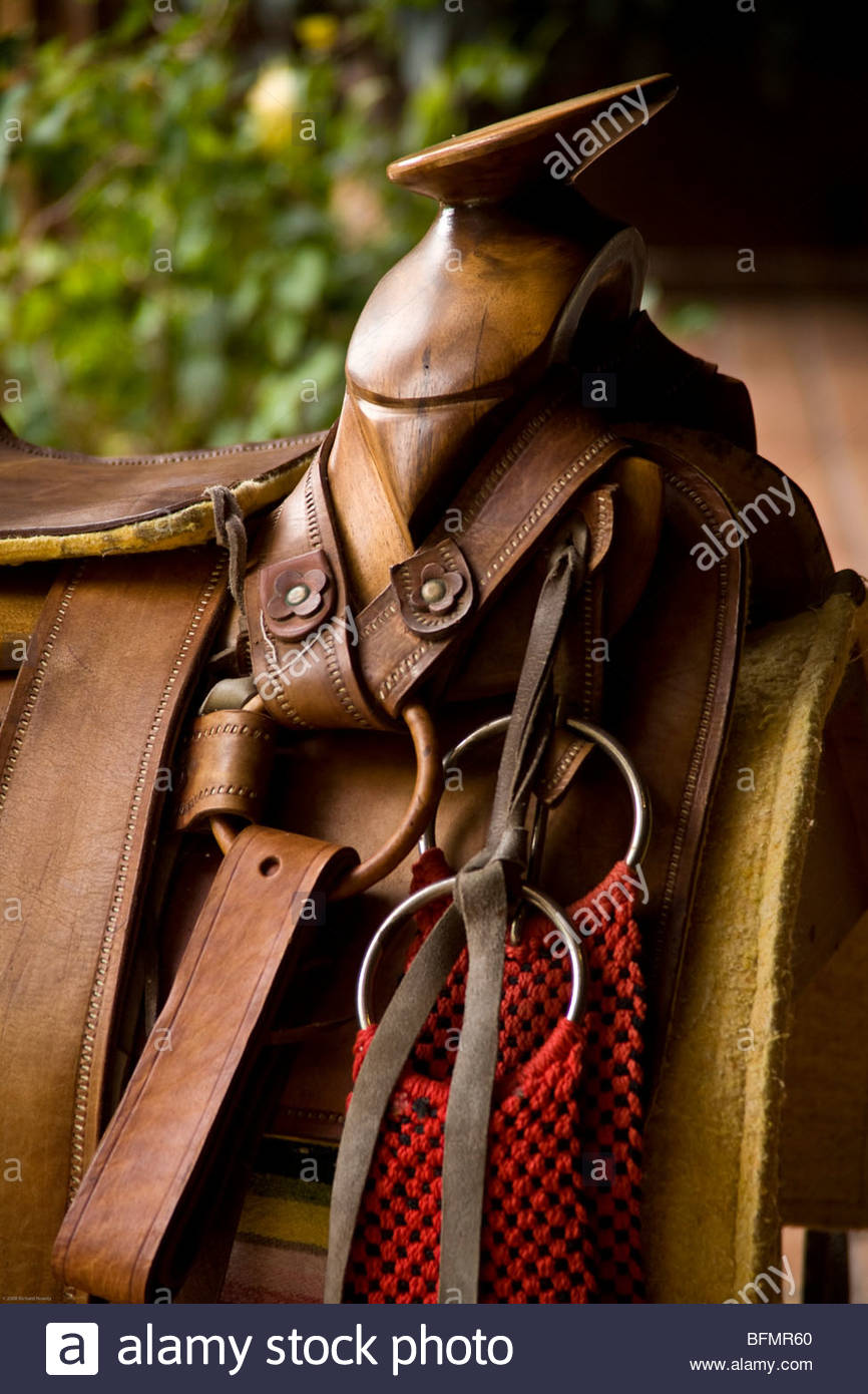 Saddle Horn Stock Photos & Saddle Horn Stock Images Alamy