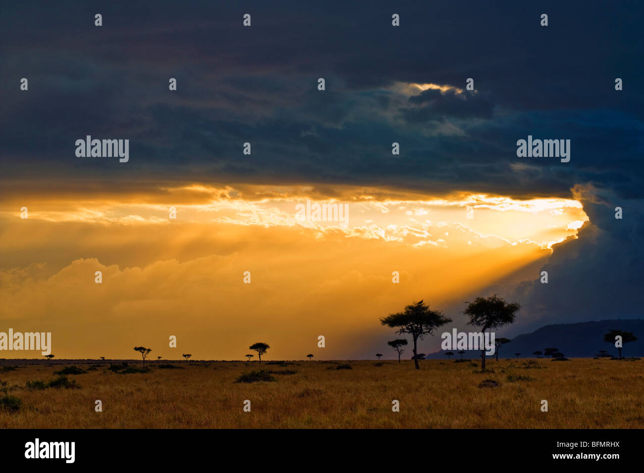 Kenya, Masai Mara. The setting sun breaks through clouds to light up the plains. Stock Photo