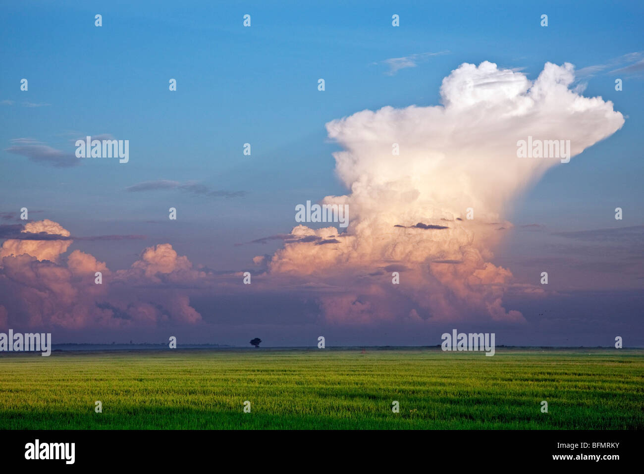 nimbus vs cumulus