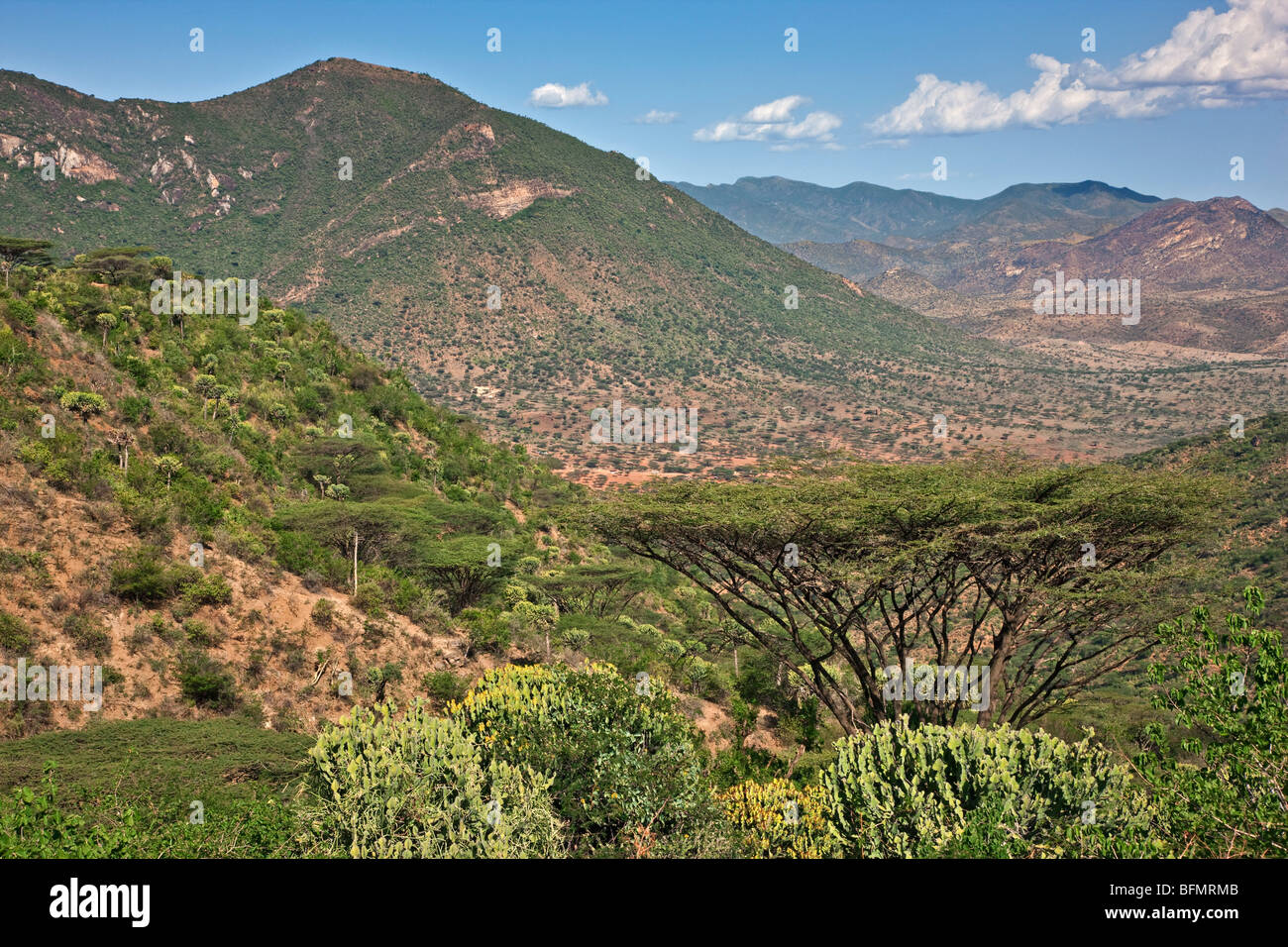 A view of the mountains in the semi-arid bush country from the foothills of Mount Nyiru in north Samburuland. Stock Photo