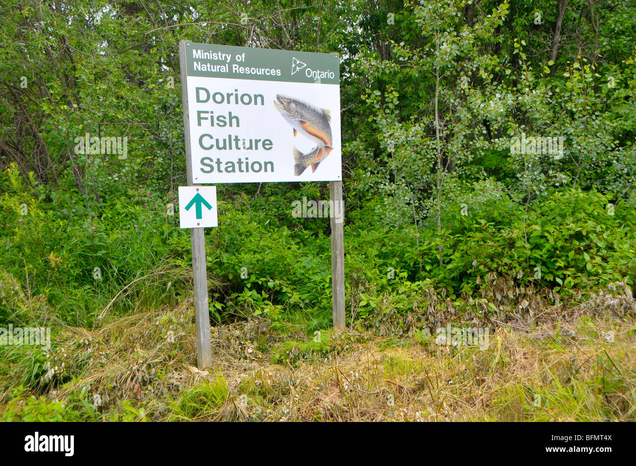 Dorion Fish Culture Station Ontario Canada Stock Photo Alamy