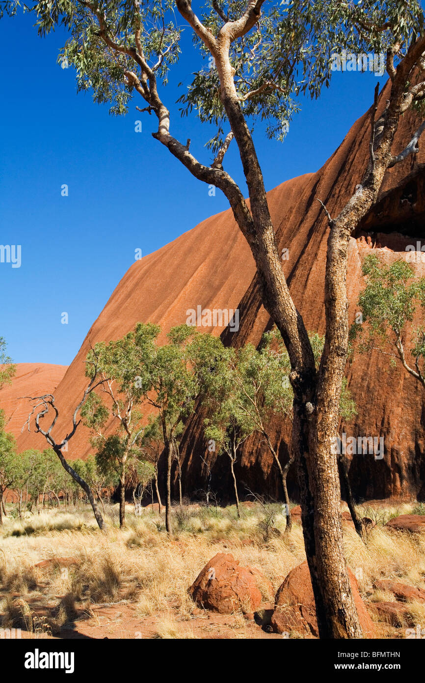 Australia, Northern Territory, Uluru-Kata Tjuta National Park.  View of Uluru (Ayers Rock) from the Base Walk. (PR) Stock Photo