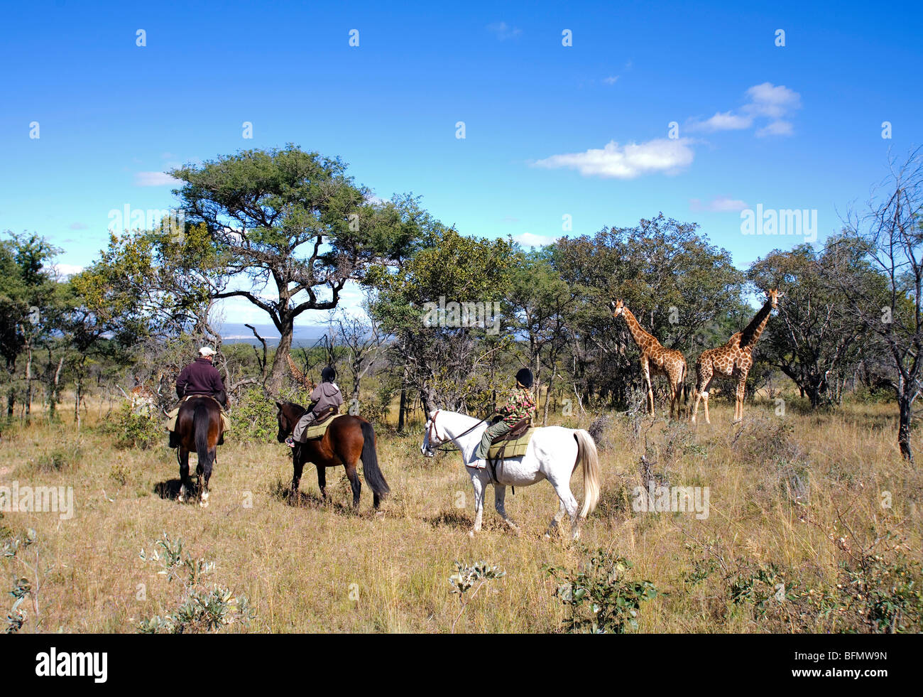 South Africa, Limpopo Province, Waterberg Plateau. A safari guide leads