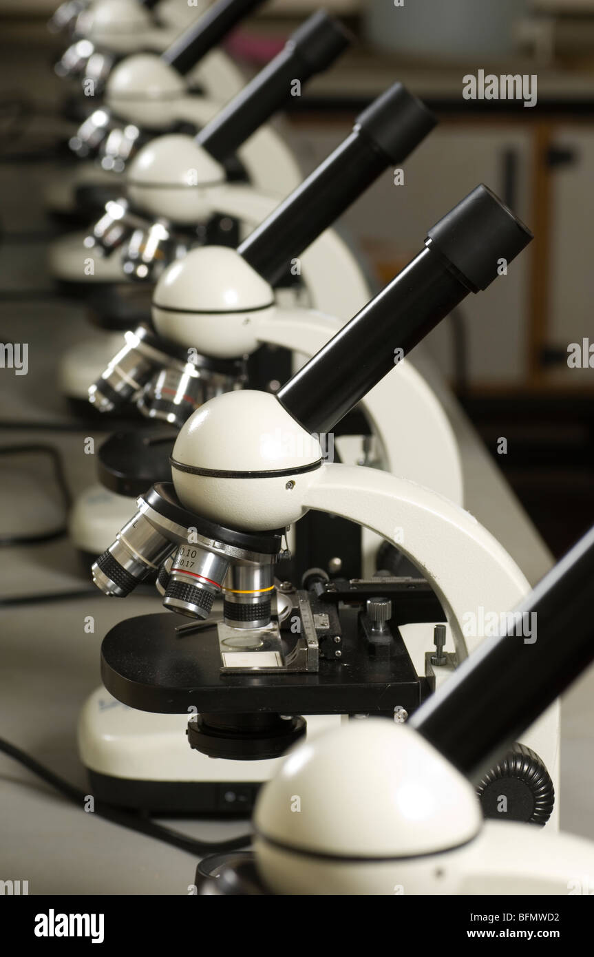 Microscopes inside a laboratory Beirut Lebanon Middle East Asia Stock Photo Alamy