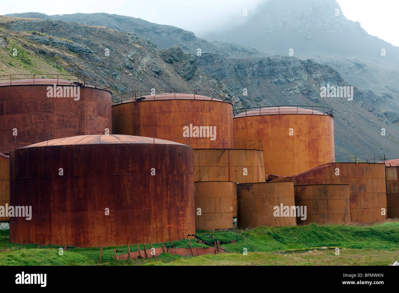 Blubber oil hires stock photography and images Alamy