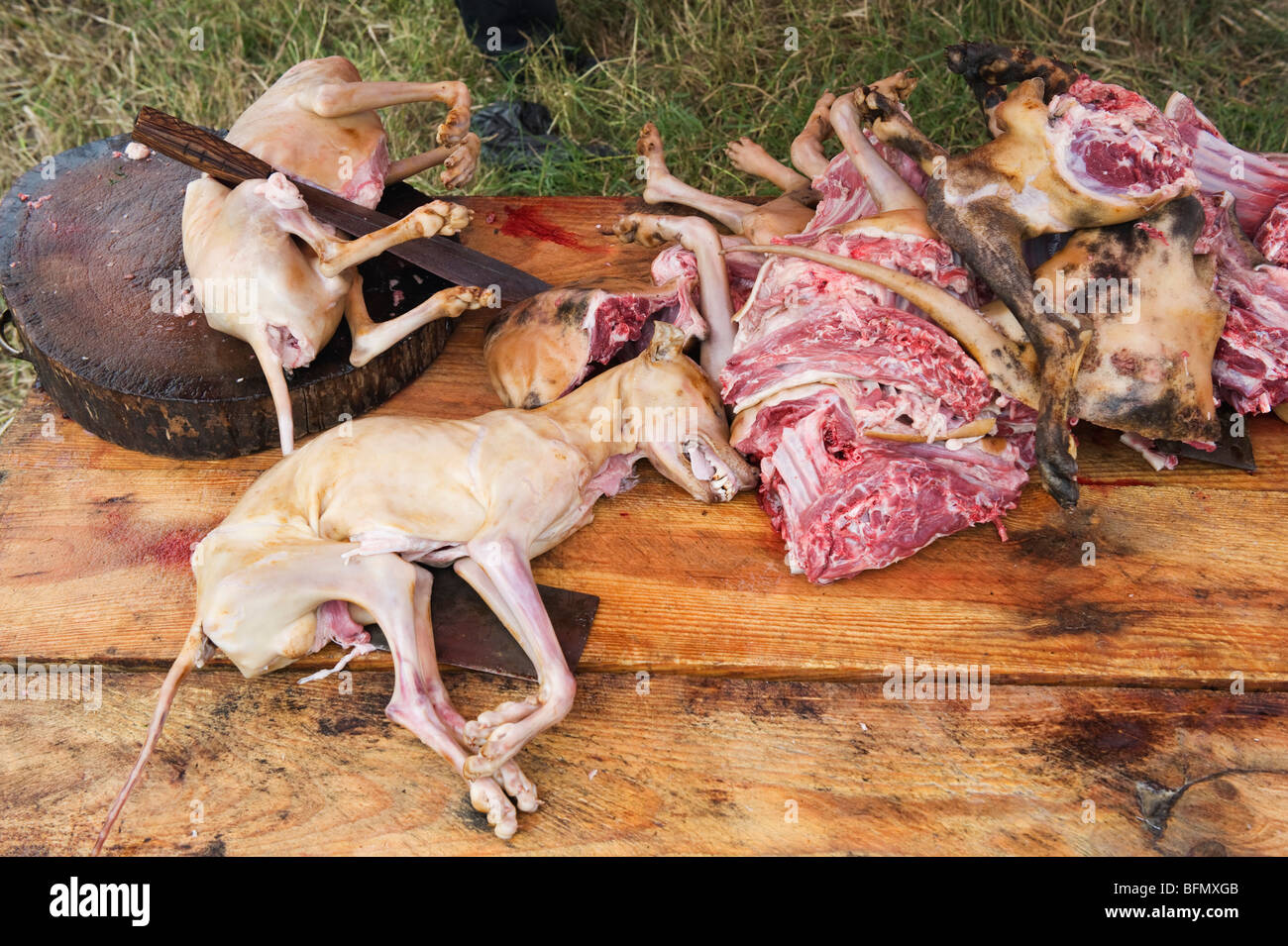 China, Guizhou Province, Leishan, dog being prepared for cooking Stock Photo