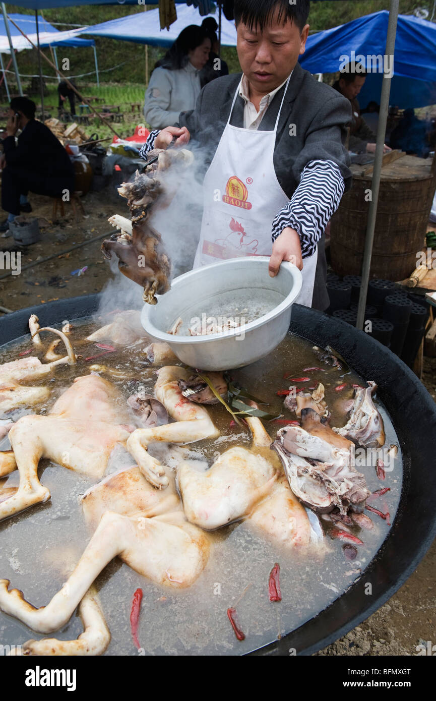 china-guizhou-province-leishan-dog-being-prepared-for-cooking-BFMXGT.jpg