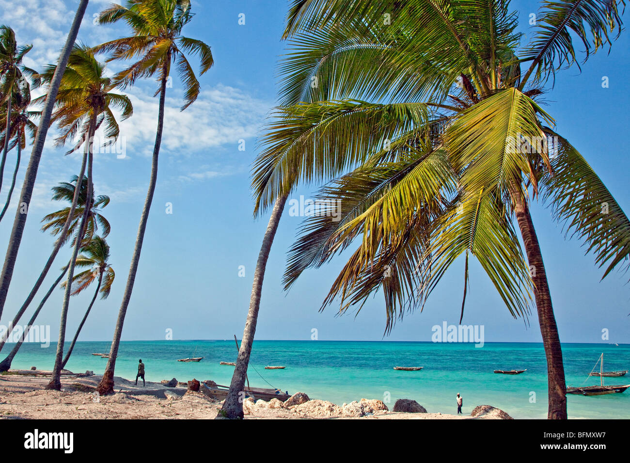 Tanzania, Zanzibar. The coconut palm-lined beach at Jambiani has one of the finest beaches in the southeast of Zanzibar Island. Stock Photo