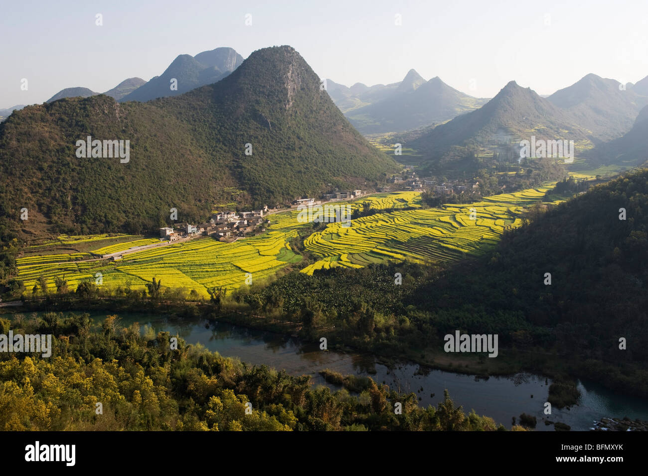 China, Yunnan province, Luoping, rapeseed flowers in bloom, Jiulong ...