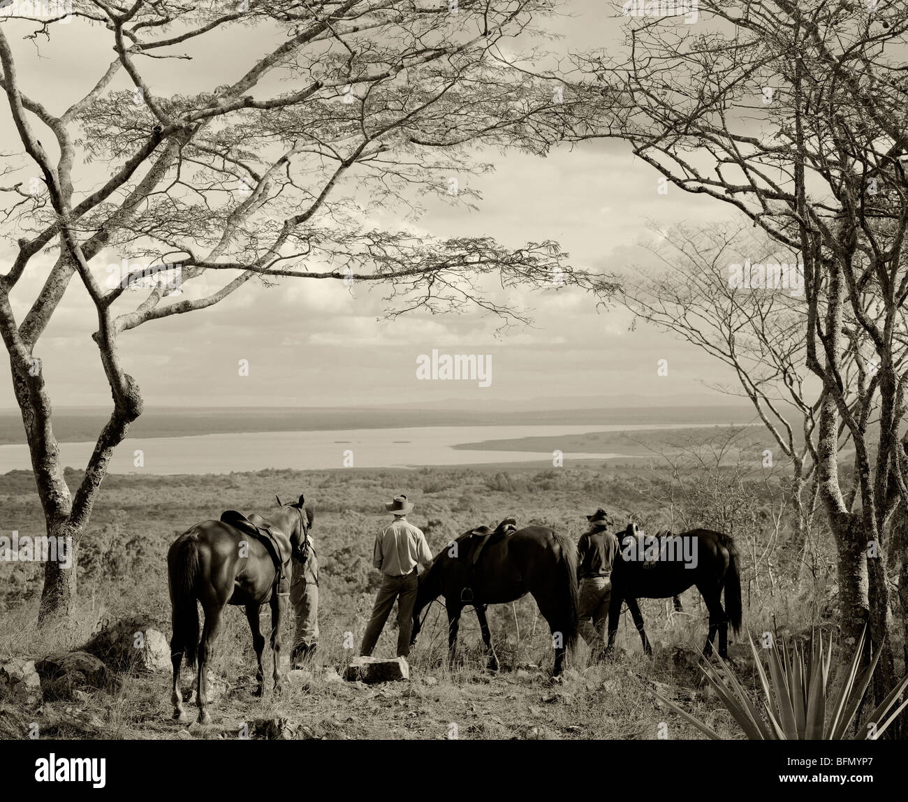 Harvey b brown hi-res stock photography and images - Alamy