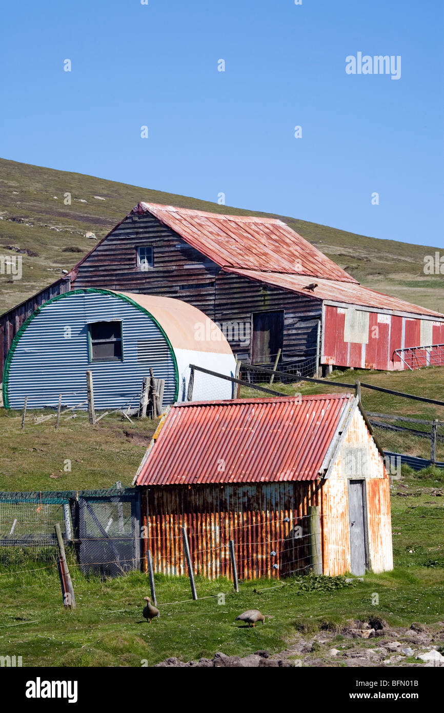 Falkland Islands, Carcass Island. Farm buildings at the settlement overlooking Port Pattison. Stock Photo