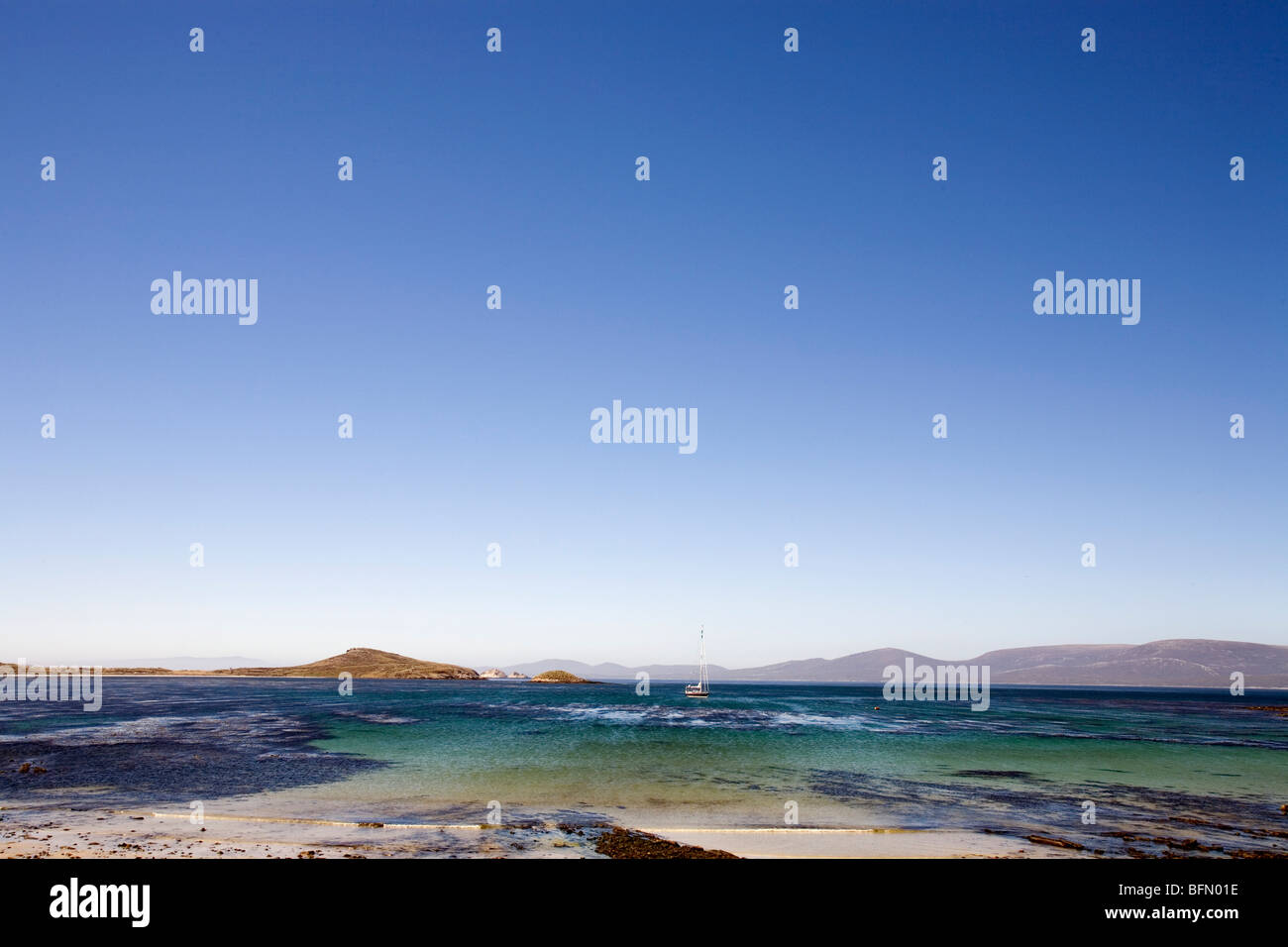 Falkland Islands, Carcass Island. View across Port Pattison towards Beechams Island and West Falkland (background). Stock Photo