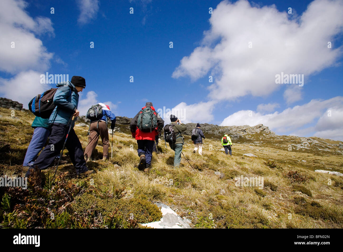 Falkland Islands. Tourists follow battleground guide Tony Smith across the slopes of Mt Tumbledown, near Stanley. Stock Photo