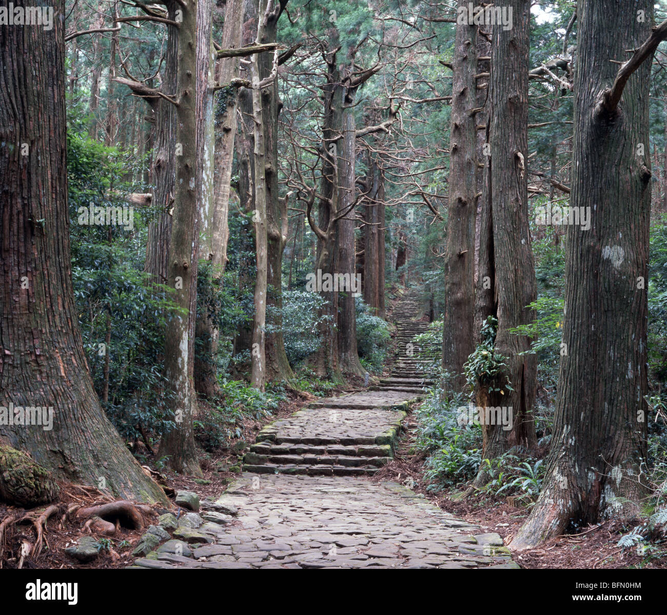 Kumano Kodo Daimonzaka Hill, Nachi Katsuura, Wakayama, Japan Sacred Sites and Pilgrimage Routes in the Kii Mountain Range Stock Photo