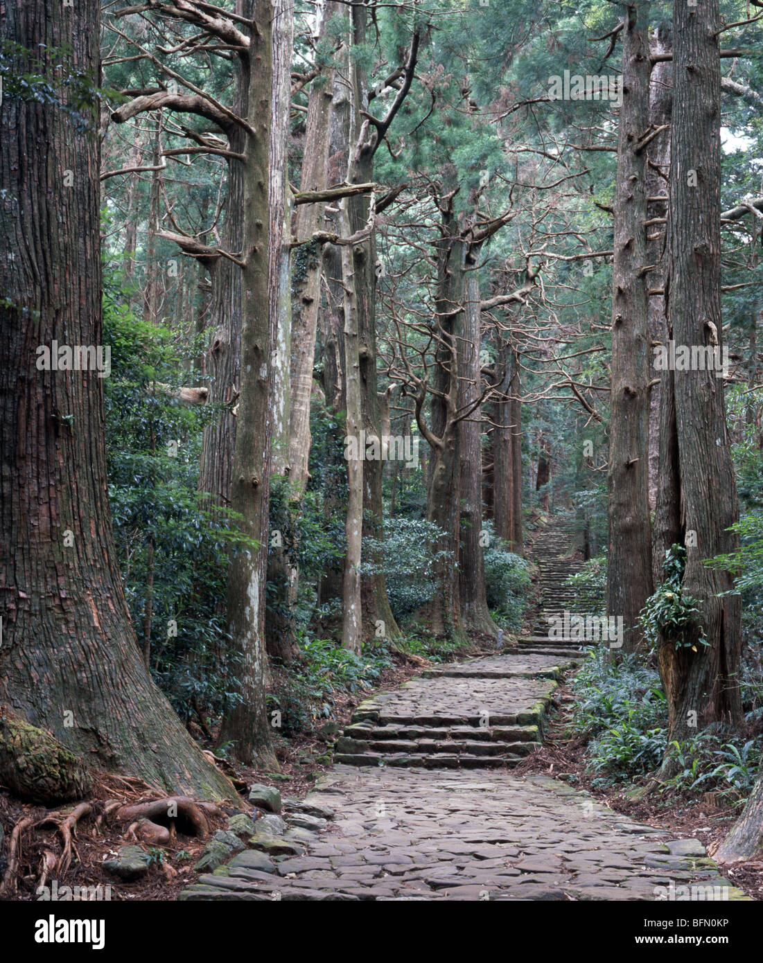 Kumano Kodo Daimonzaka Hill, Nachi Katsuura, Wakayama, Japan Sacred Sites and Pilgrimage Routes in the Kii Mountain Range Stock Photo