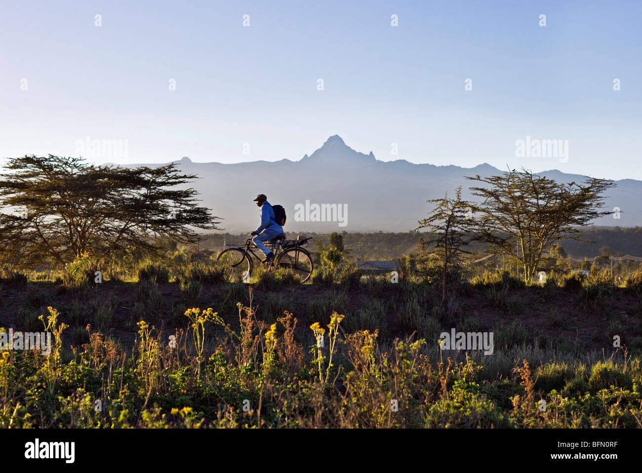 Kenya,Timau. In the early morning, a man cycles to work with Mount Kenya towering in the background. Stock Photo
