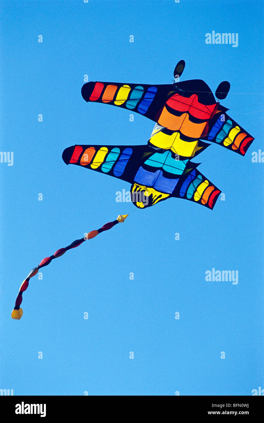 Kite festival ; Surat ; Gujarat ; India Stock Photo Alamy
