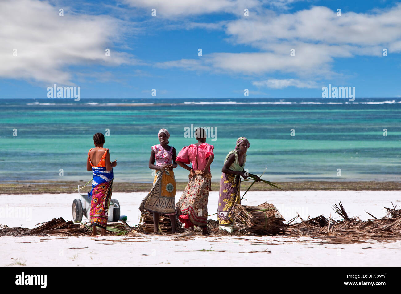 Kenya, Mombasa. Women gather makuti (dried coconut palm fronds used as roofing material) on a beach on Kenya south coast. Stock Photo