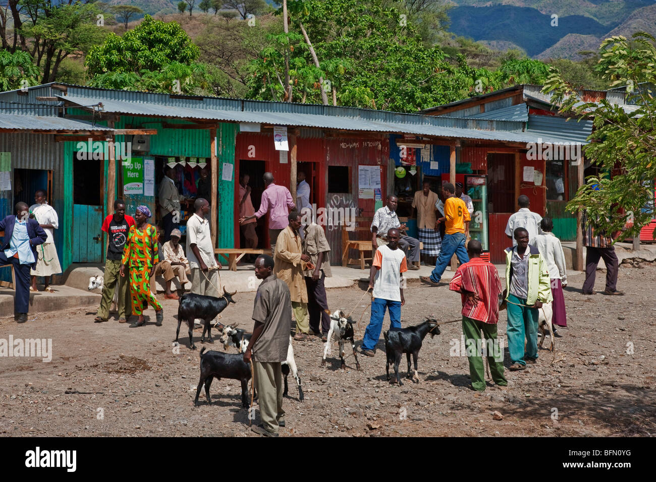 Kenya, Baringo District. A goat market at the trading centre of Koriema, in a semi-arid region of Kenyas Rift Valley Province. Stock Photo