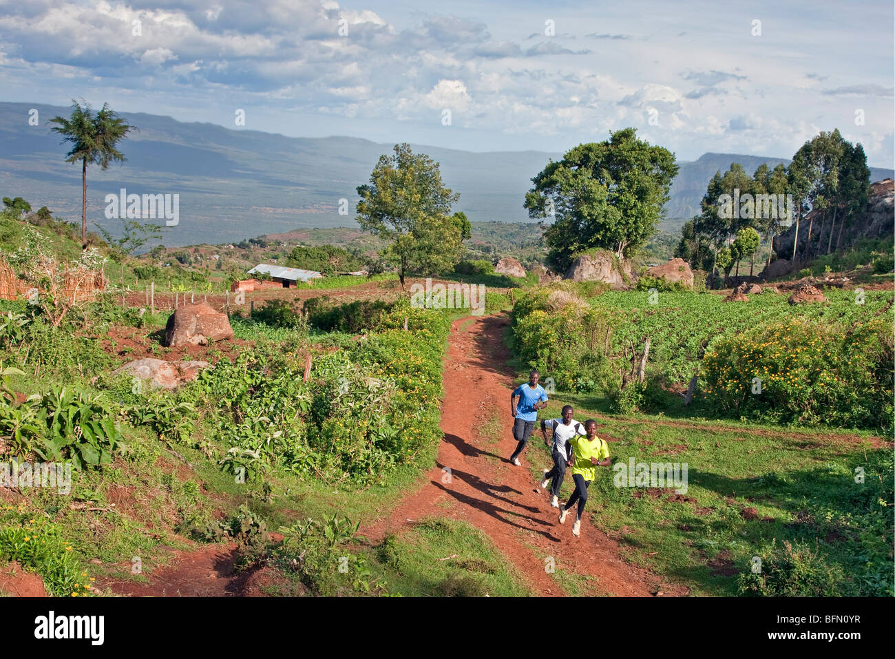 Kenya, Tambach District. Kenyas long distance runners, based at a high altitude training camp at Iten. Stock Photo