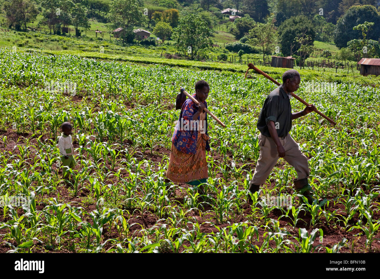 Kenya, Kapsabet District. An elderly couple by their