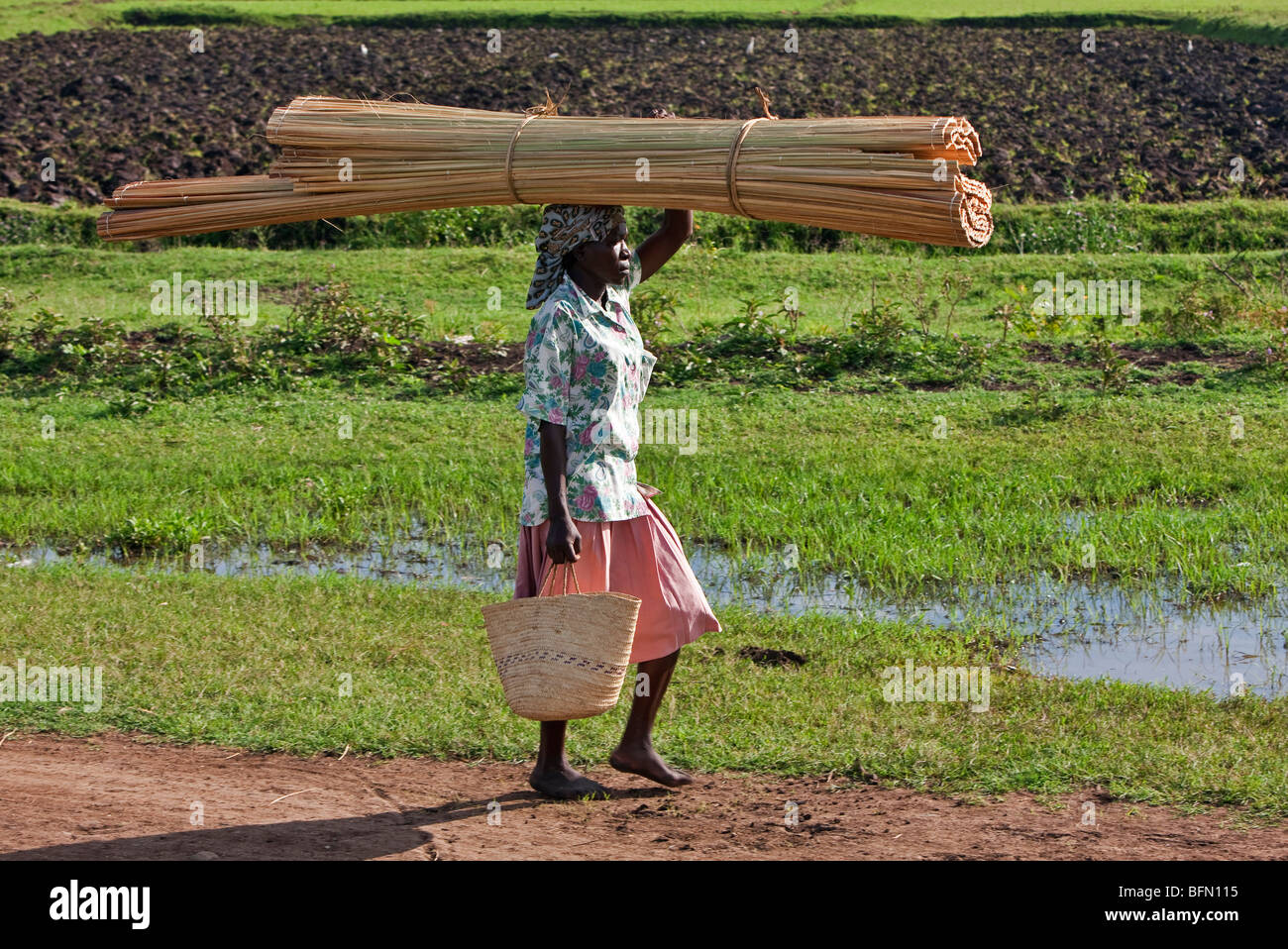 Kenya, Kisumu District. A woman walks home from market with a papyrus mat on her head. Stock Photo