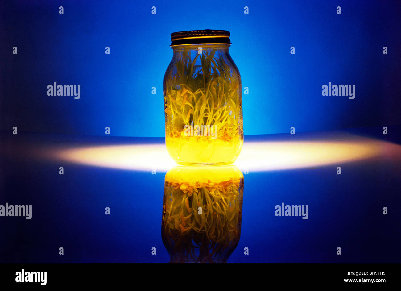 Bio Technology Stock Photo