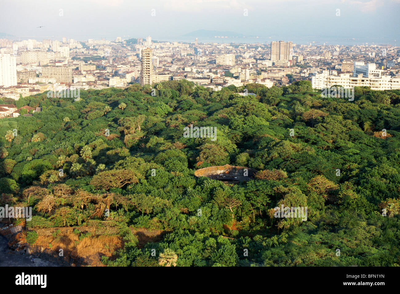 Tower of Silence tropical forest ; Zoroastrian crematorium ; Malabar Hill ; Bombay ; Mumbai ; Maharashtra ; India ; asia Stock Photo