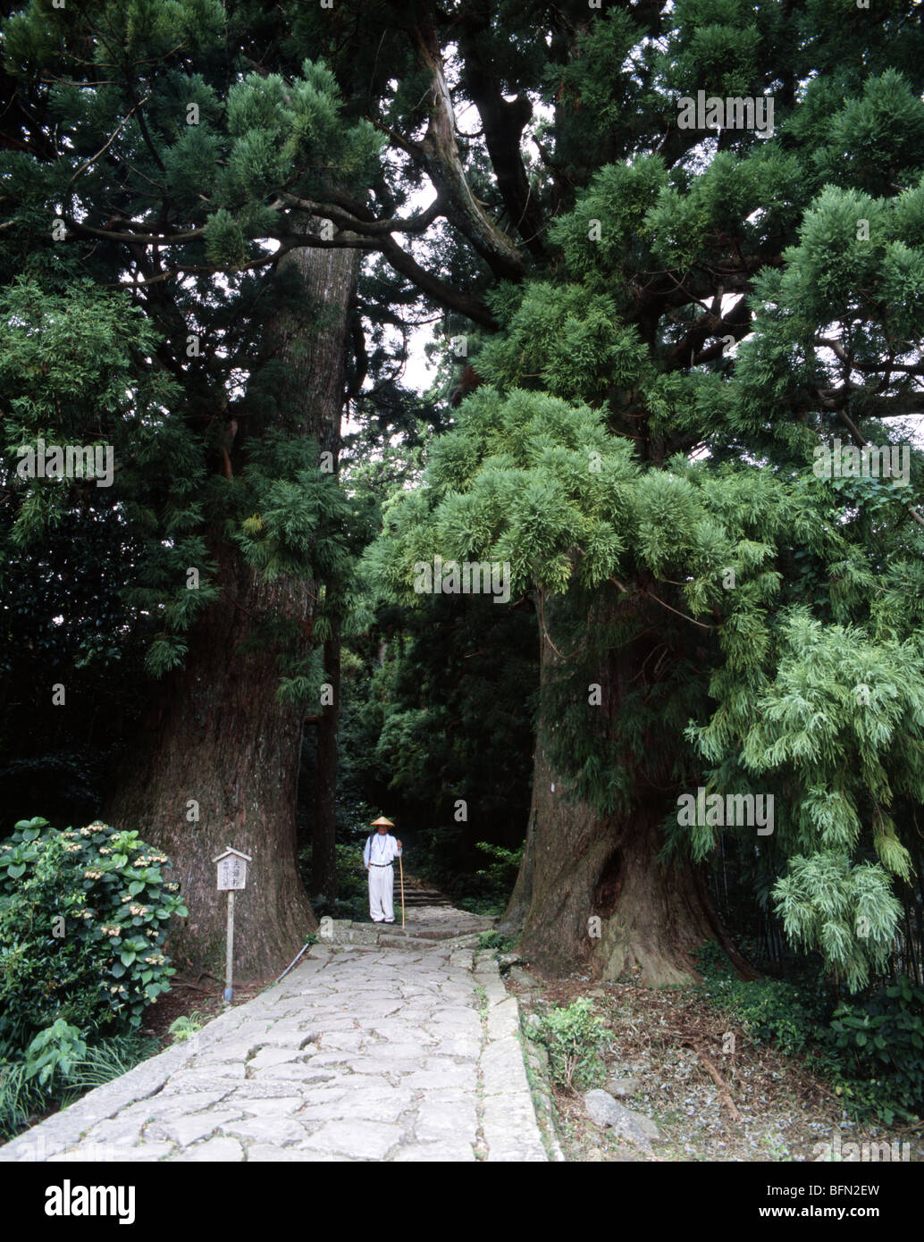 Kumano Kodo Daimonzaka Hill, Nachi Katsuura, Wakayama, Japan Sacred Sites and Pilgrimage Routes in the Kii Mountain Range Stock Photo