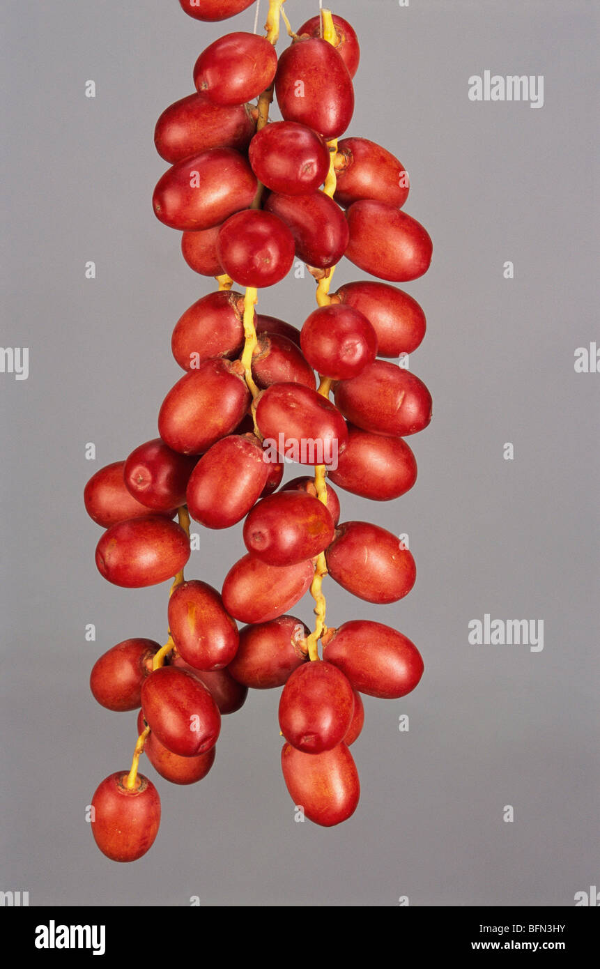 Dates Fruit Target at Renee Murphy blog