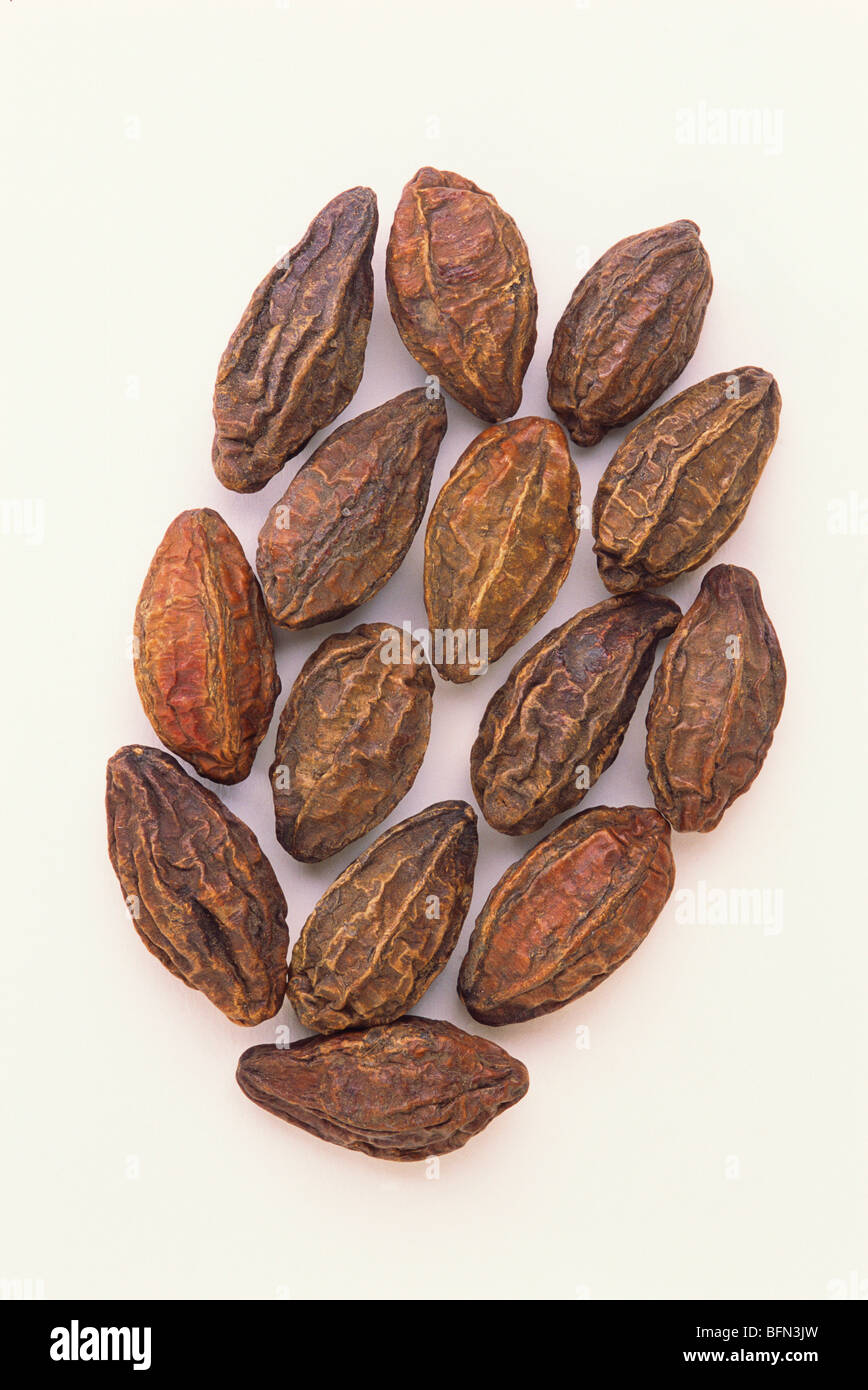 HMA 61516 Ayurvedic herb ; harad chebulic haritaki terainalia Stock