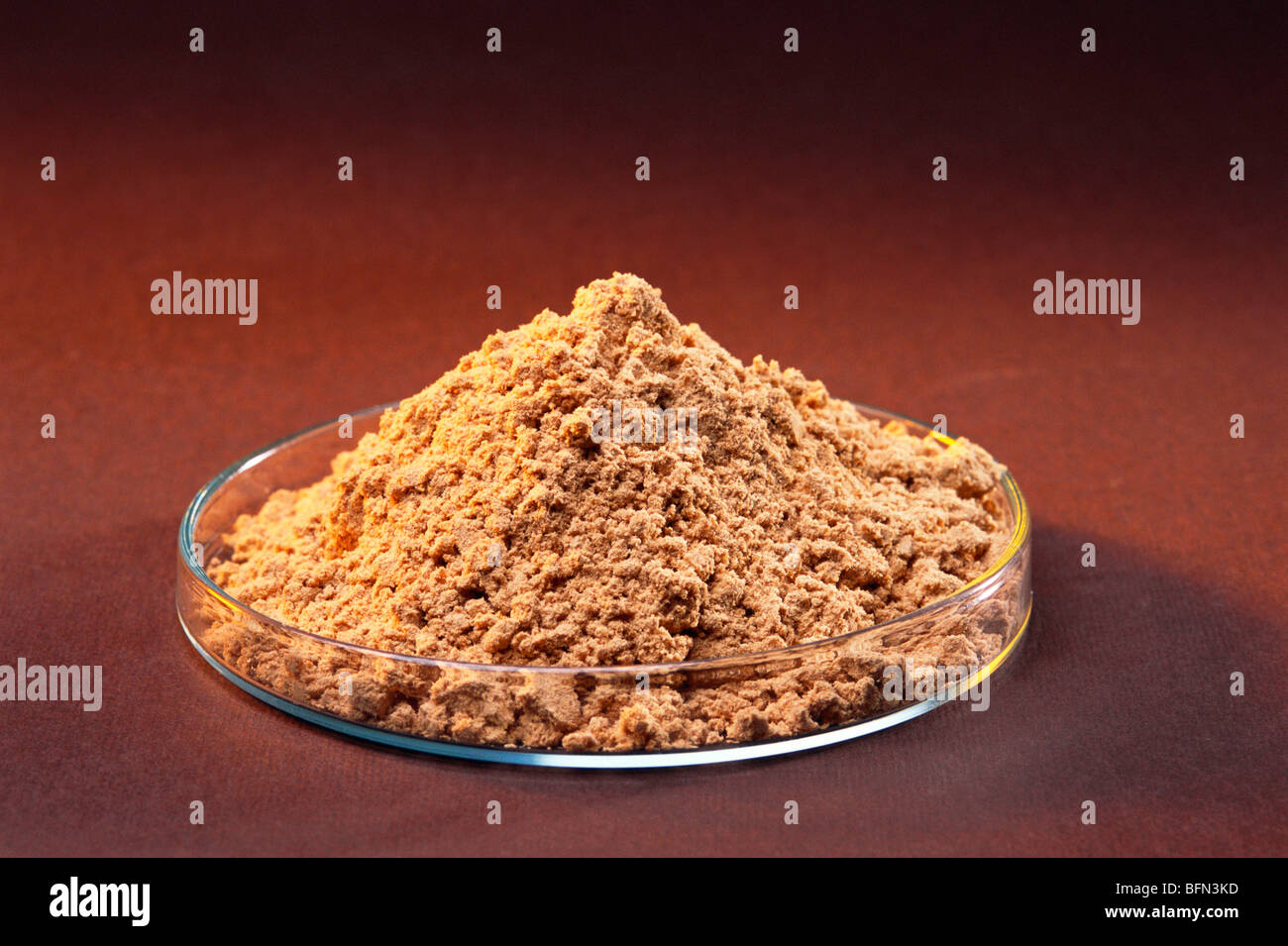 sandalwood powder in glass plate on maroon background Stock Photo